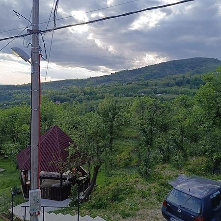 Casuta Din Livada Villa Moisei Exterior foto