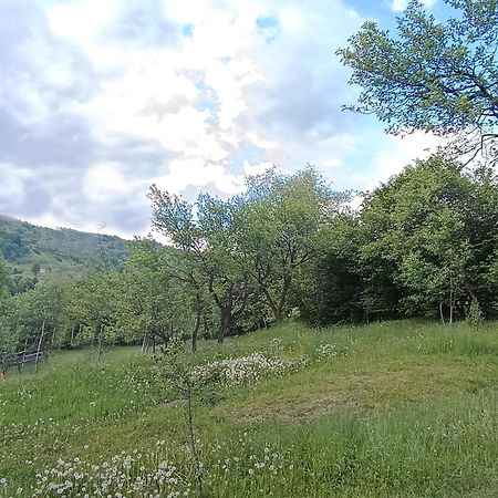 Casuta Din Livada Villa Moisei Exterior foto