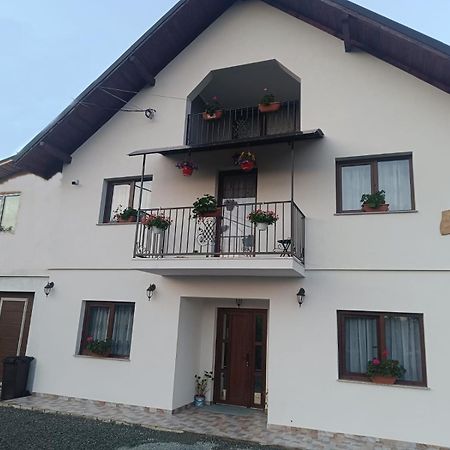 Casuta Din Livada Villa Moisei Exterior foto