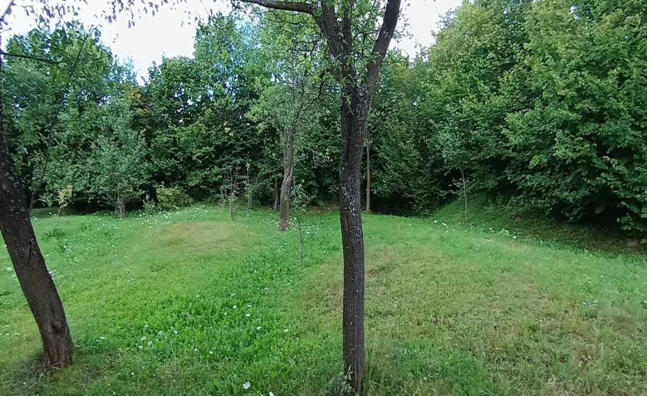 Casuta Din Livada Villa Moisei Exterior foto