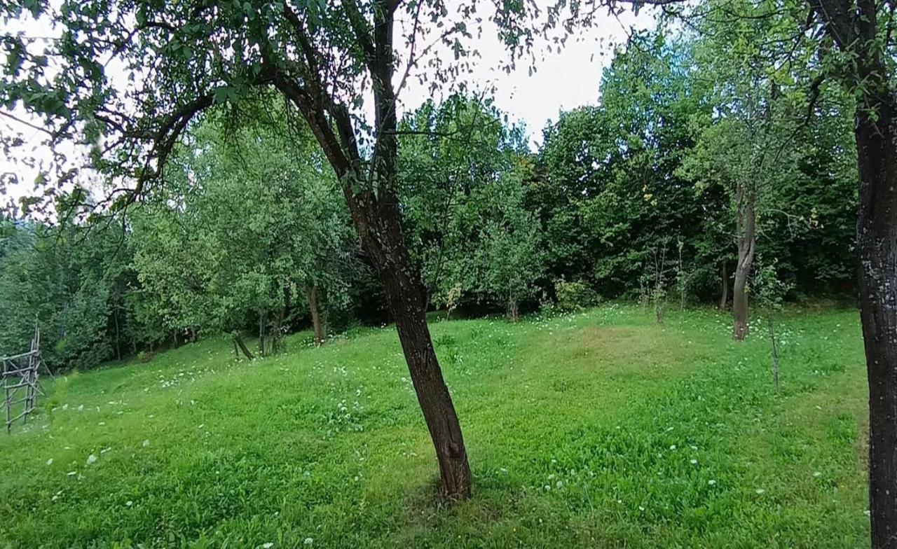Casuta Din Livada Villa Moisei Exterior foto