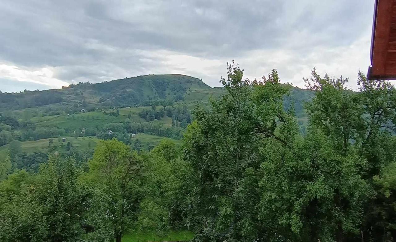 Casuta Din Livada Villa Moisei Exterior foto