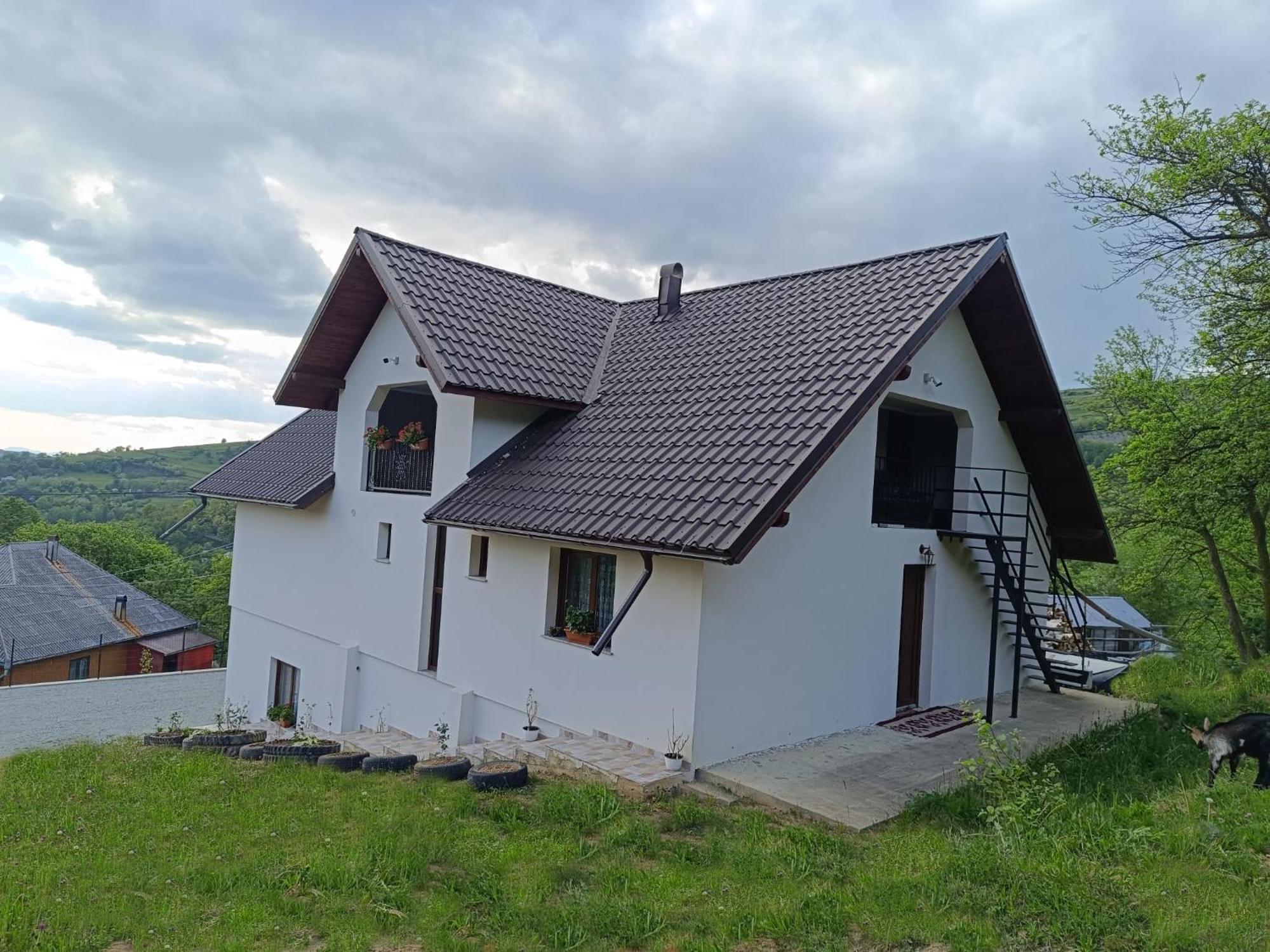 Casuta Din Livada Villa Moisei Exterior foto